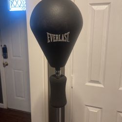 Everlast Reflex Bag 
