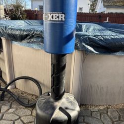 Century Wavemaster Boxer Punching / Training Bag