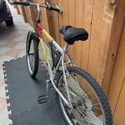 Mountain Bike 