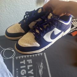 Purple Nike Dunks