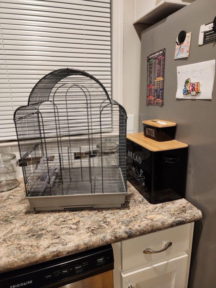 Bird Cage