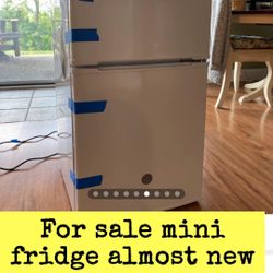 Mini Fridge 