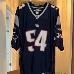 Teddy Bruschi Game Shirt