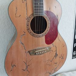 Acoustic Guitar with Fractal Design