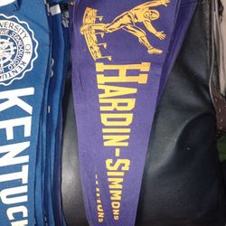 Vintage College Pennants 