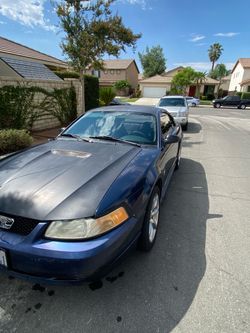 2001 mustang