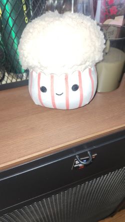 Squishmallow 
