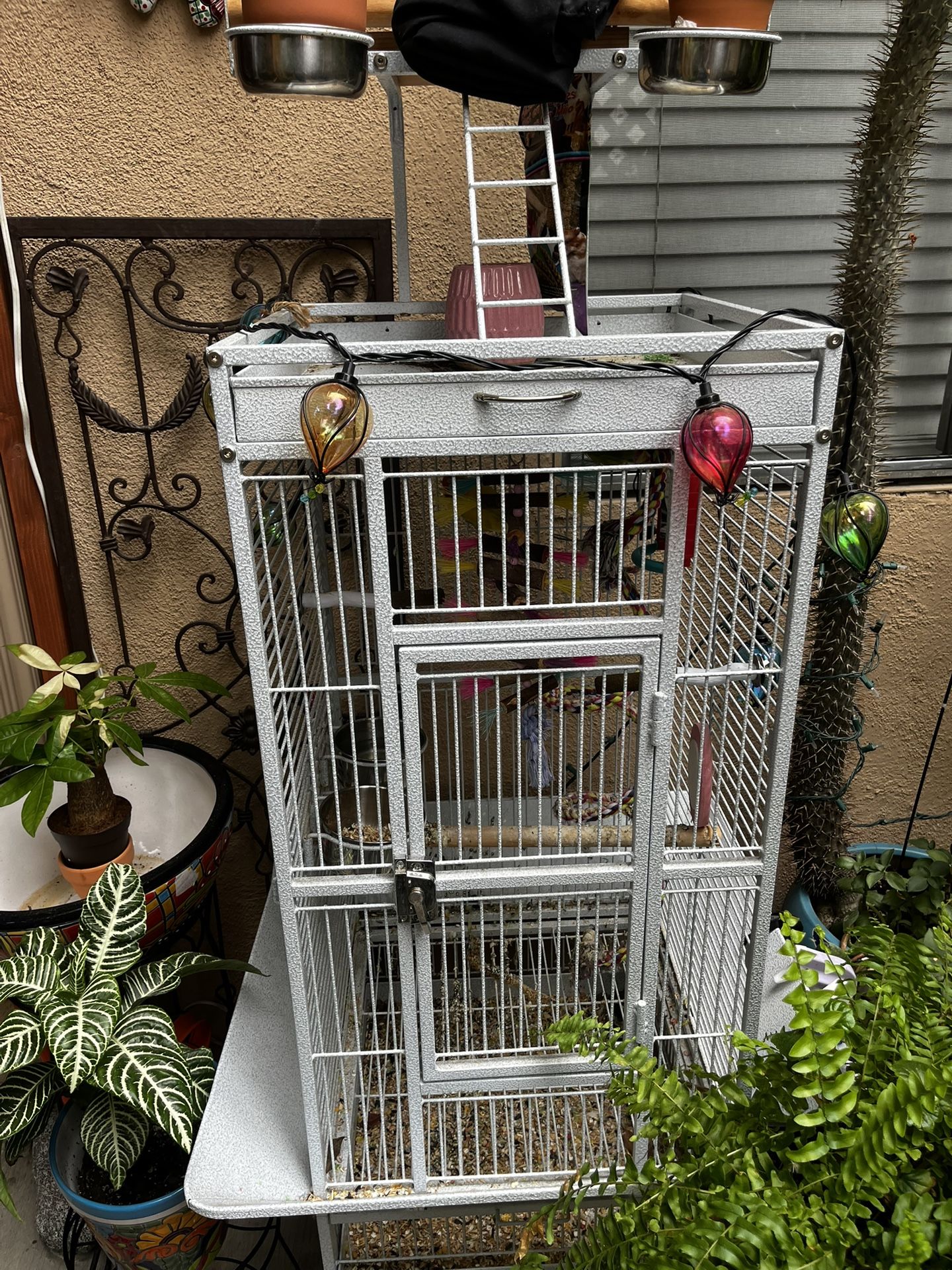 Bird Cage