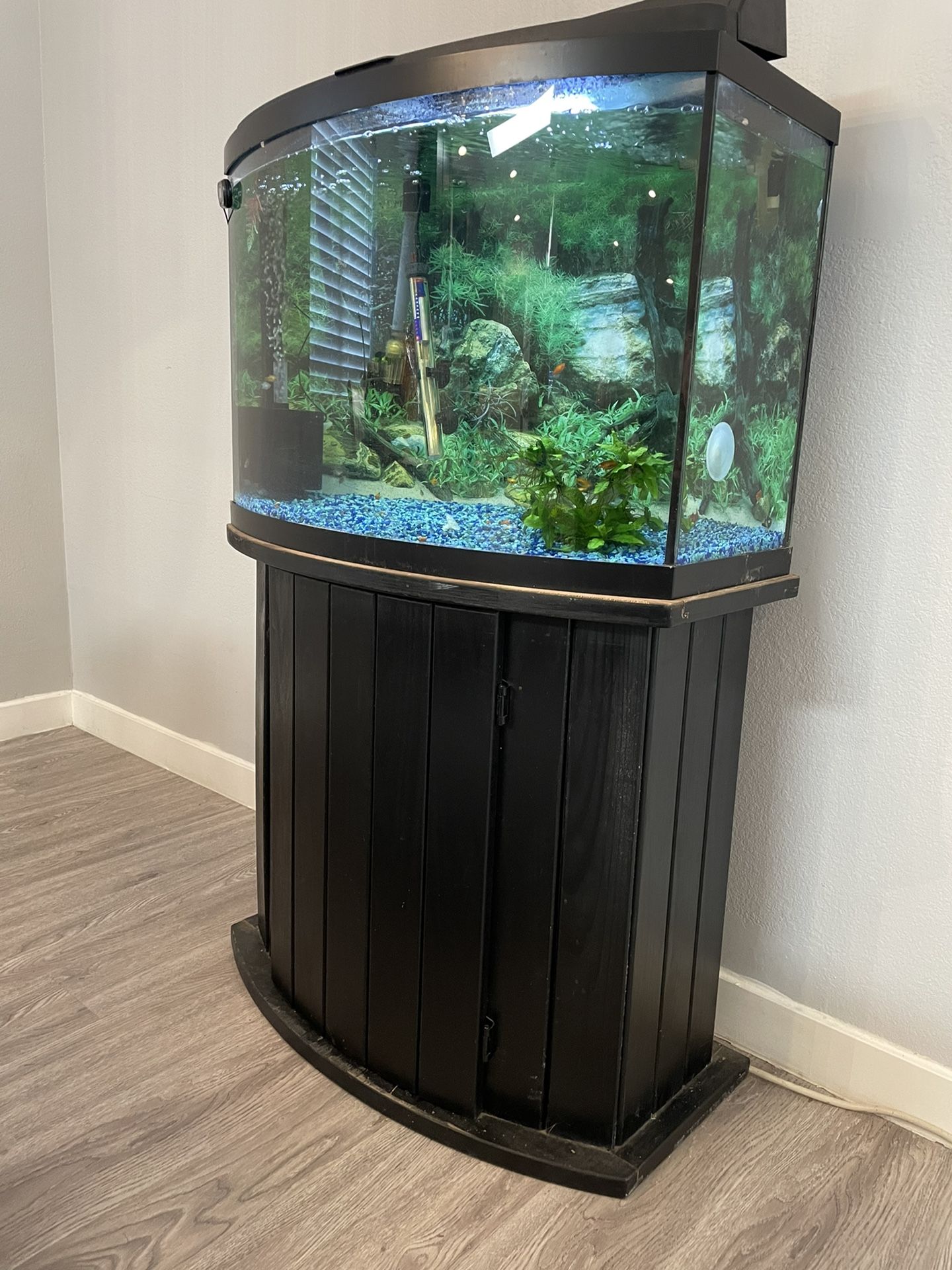 Curved Fish Tank With Stand 2 Curved Fish Tank With Stand