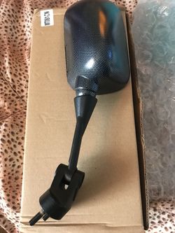 Kawasaki mirror carbon