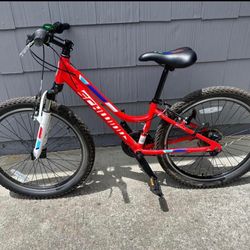 Schwinn 20" Kids Bike