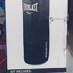Everlast punching Bag 