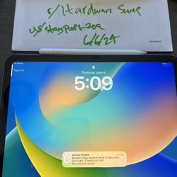 iPad 10th Gen + Apple Pencil