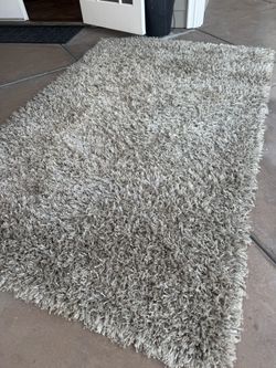Beige Shag Rug
