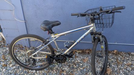 Hybrid bike