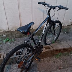 Bicicleta GRANDE color Azul Plateado.en BUENAS CONDICIONES