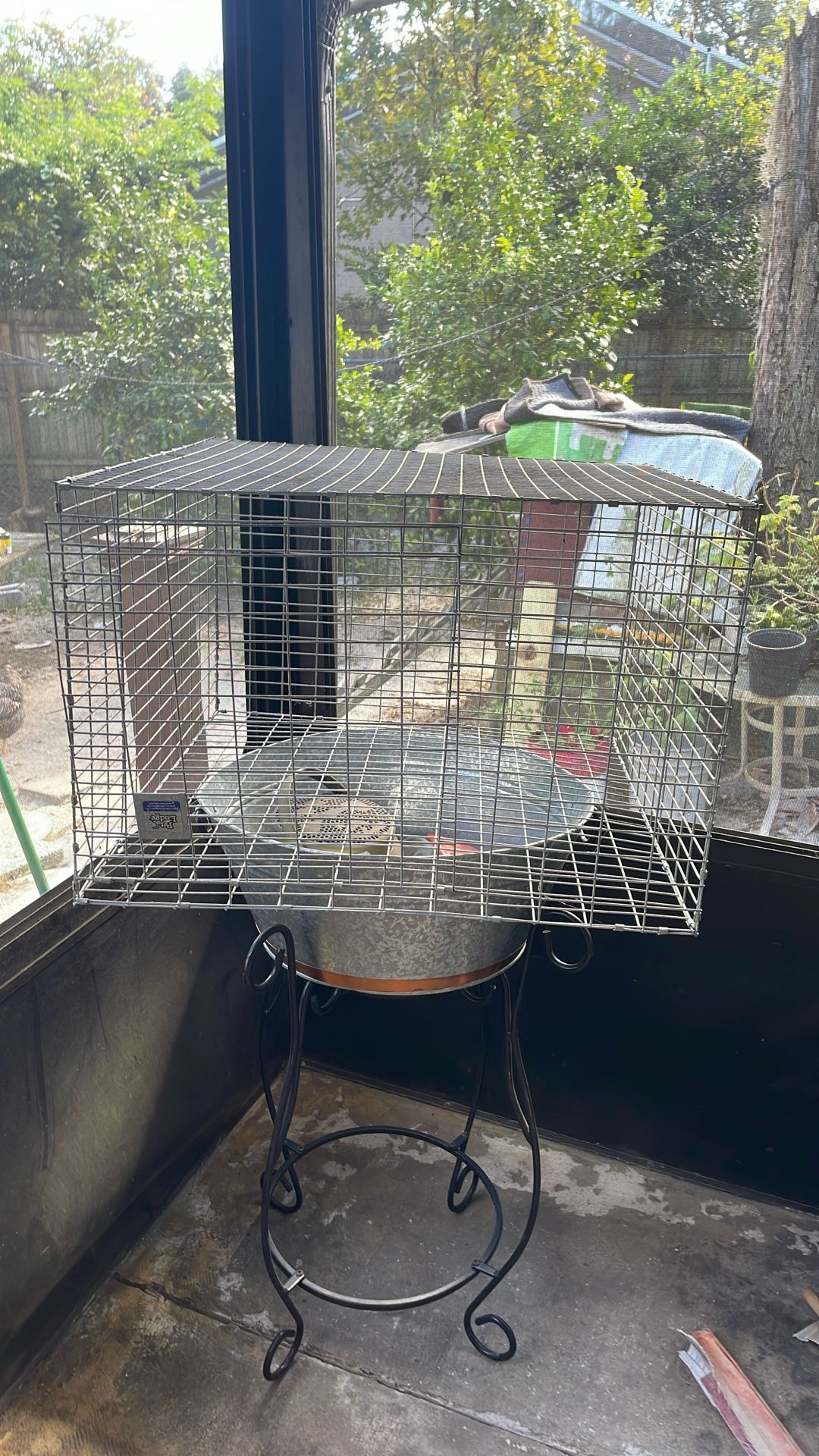 Cage For Dogs Of Different Species 20