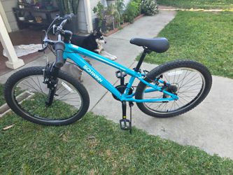 Schwinn ranger bicycle