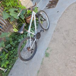 24 Inch Bicycle 