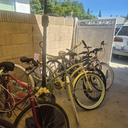 Bikes. Men And Women 