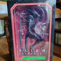 Alien Romulus Scorched Xenomorph