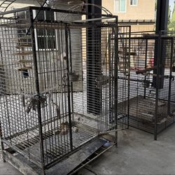 2 parrot cages