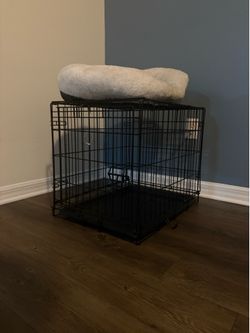 Bed and crate