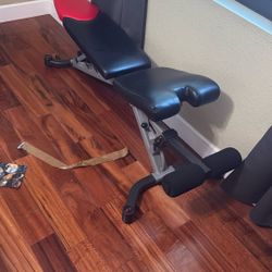 Bowflex Bench Chair Weight Lifting 