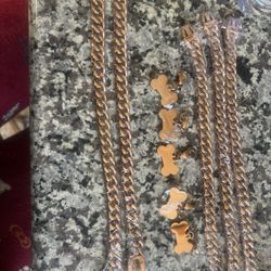 Dog Tag And Dog Chain 