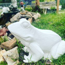 Concrete Frog