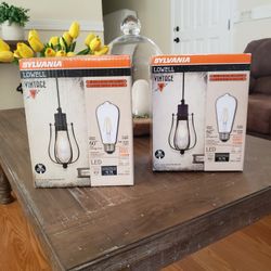 (3) Cage Pendant Lights With Bulbs Included 