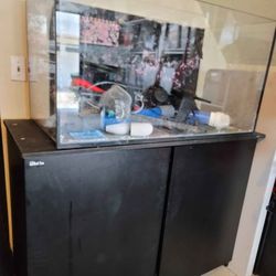65 Gallon Custom Aquarium with Red Sea Stand