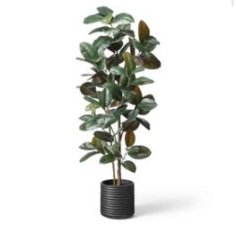 Hilton Carter Target Collection Artificial Rubber Tree