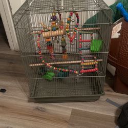 Bird Cage 
