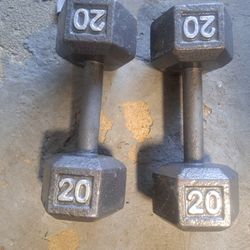 20 Lbs Dumbells 