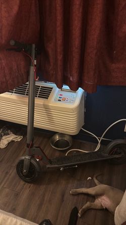 GoTrax electric scooter