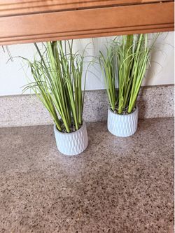 2 artificial plants