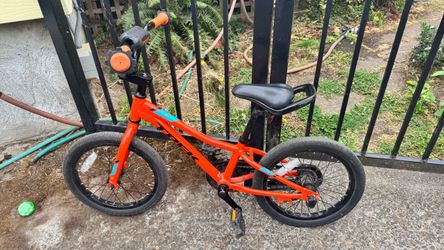 Trek 16 kids bike