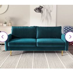 Teal Couches