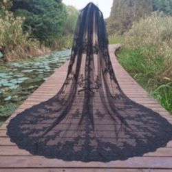Black Cathedral Length Lace Wedding Veil