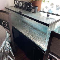 55 Gal Tank With Stand