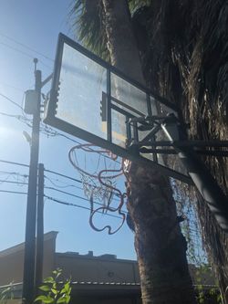 Spaulding Hoop