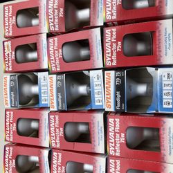 Sylvania Flood Lights 75 Watt