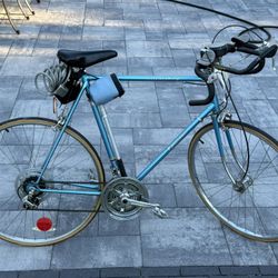 Vintage 1979 Panasonic Villager 10 Speed Bicycle 