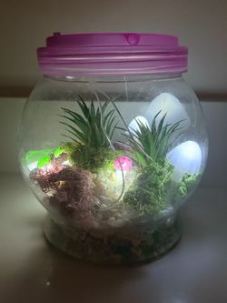 Forest Unicorn Light