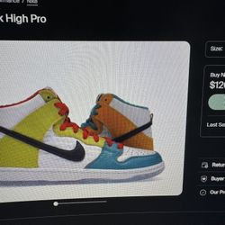 Nike Dunks Pro