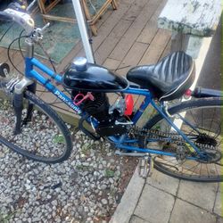 Panasonic 28.5 With 100cc Modded