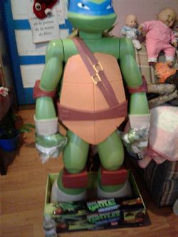 TORTUGA SUPER GRANDE