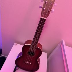 Cordoba 15CM-E Concert Acoustic-Electric Ukulele Edge Burst