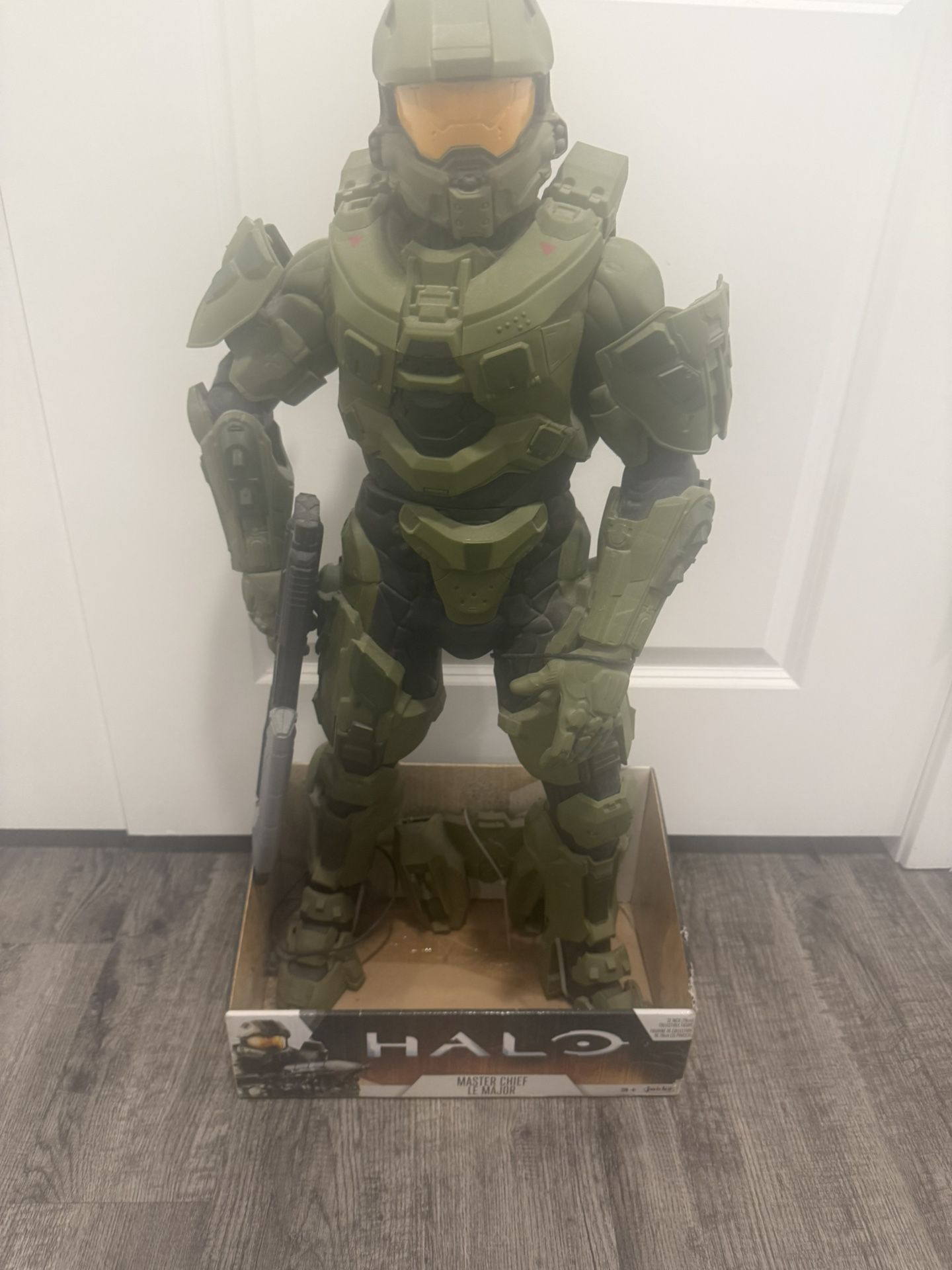 HALO 31